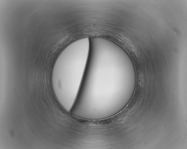 X0000116030697200911201000