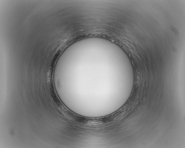 X0000116030708200911201000