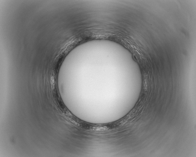 X0000116030716200911201000