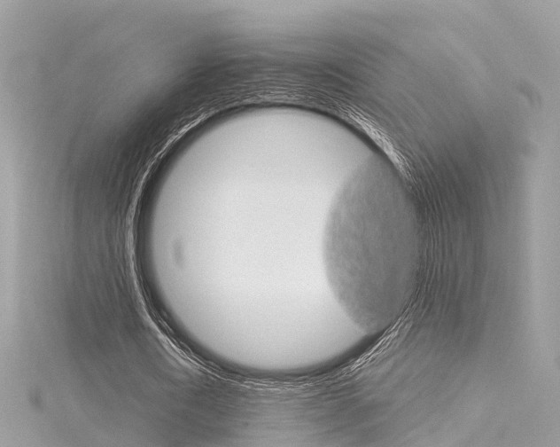 X0000116030722200911200959