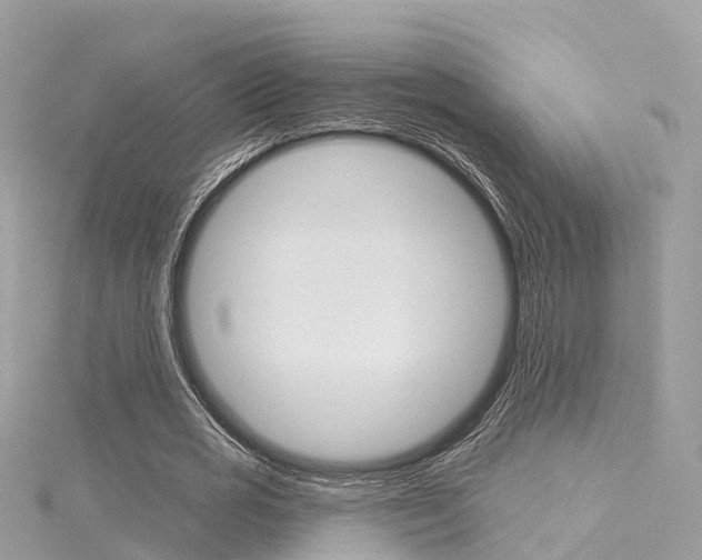 X0000116030725200911200959