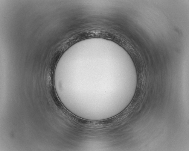 X0000116030754200911200959