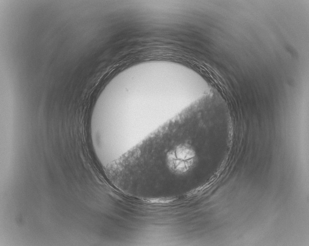 X0000116030759200911200959