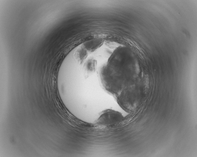 X0000116030761200911200959