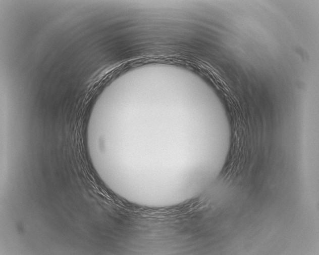 X0000116030773200911200959