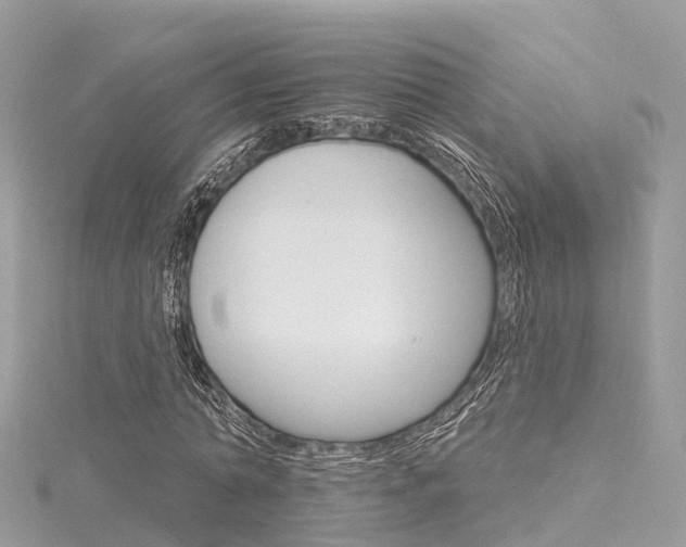 X0000116030774200911200959