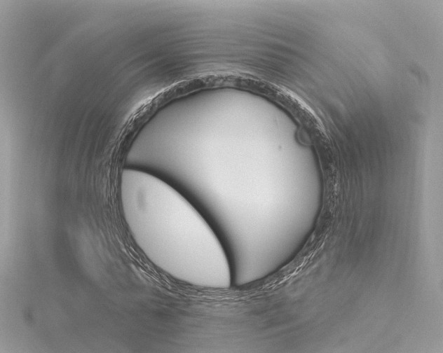 X0000116030775200911200959