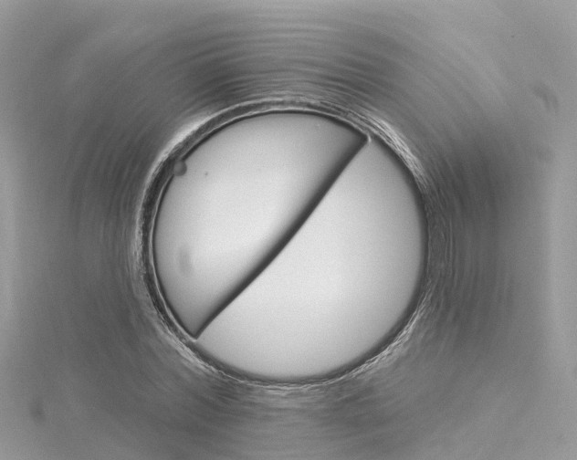 X0000116030780200911200959