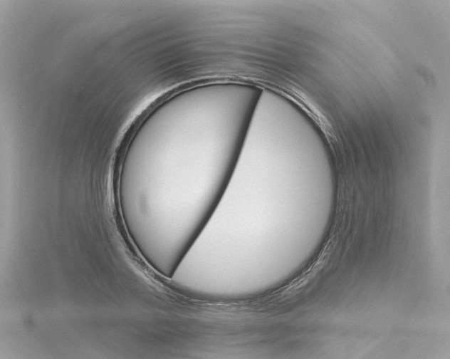 X0000116030788200911200959