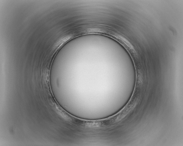 X0000116030793200911200959