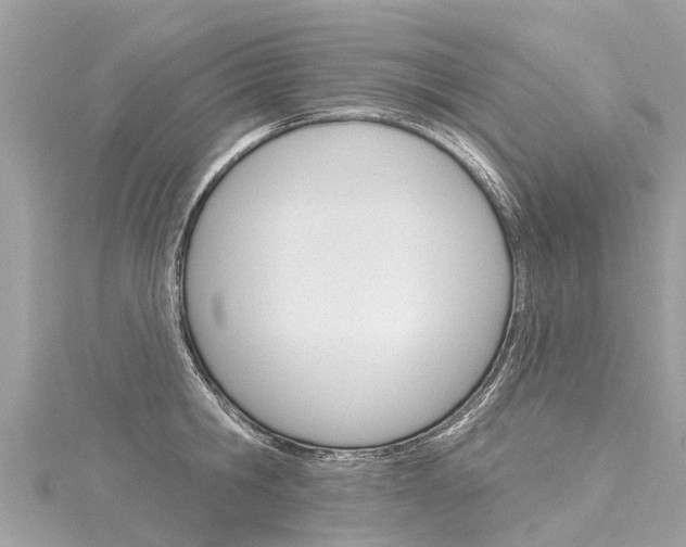 X0000116030806200911200958