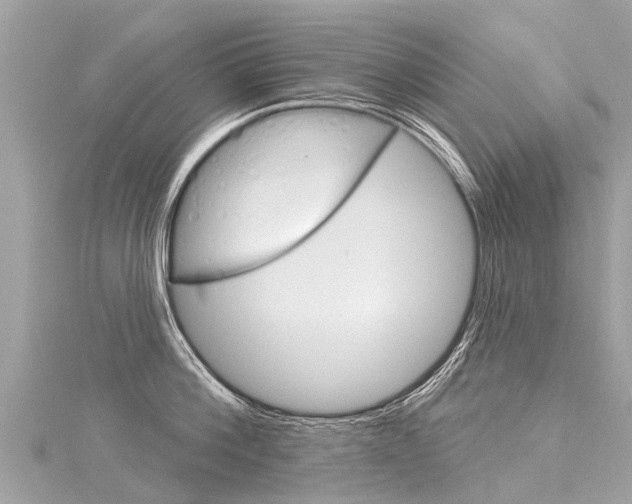 X0000116030812200911200958