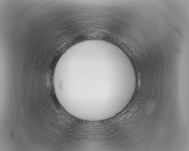 X0000116030819200911200958