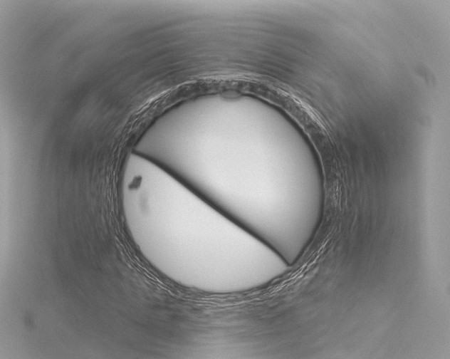 X0000116030821200911200958