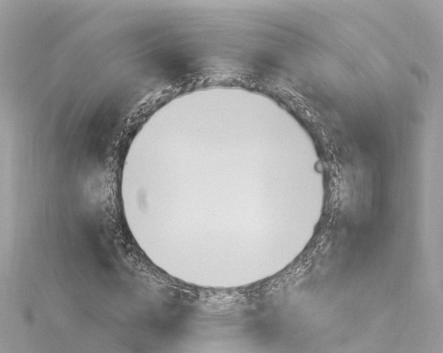 X0000116030824200911200958