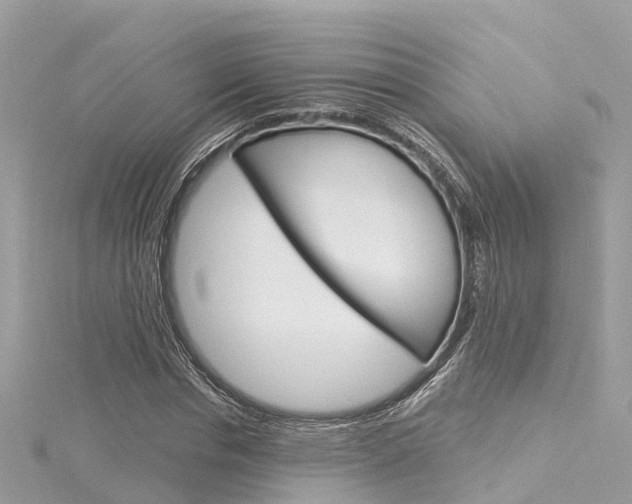 X0000116030826200911200958
