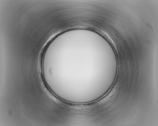 X0000116030843200911200958