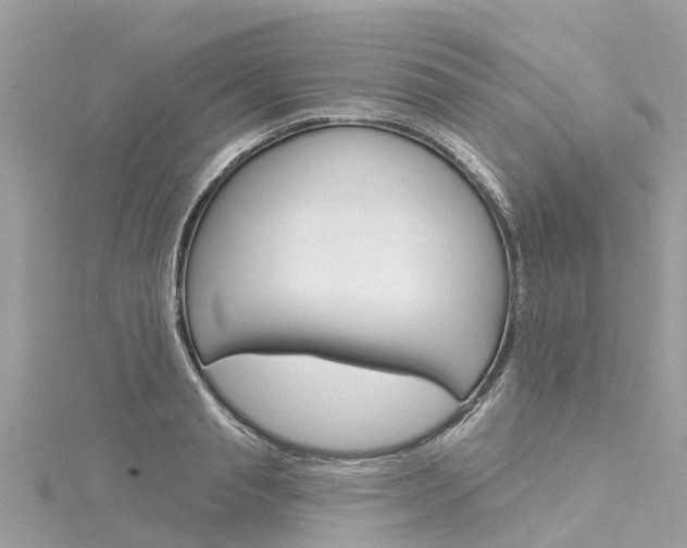 X0000116030845200911200958
