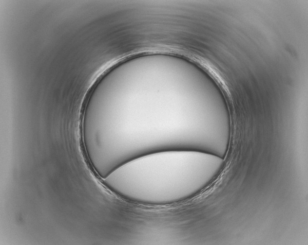 X0000116030853200911200958