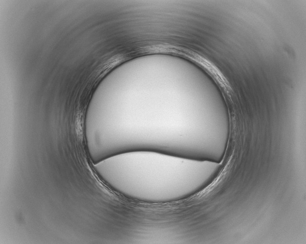 X0000116030857200911200958