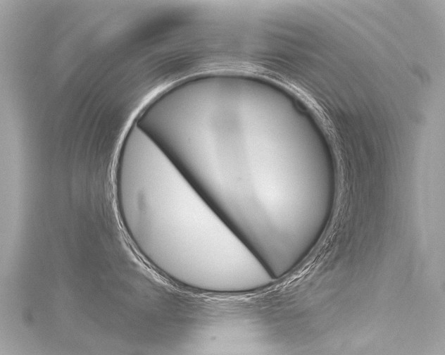 X0000116030864200911200958