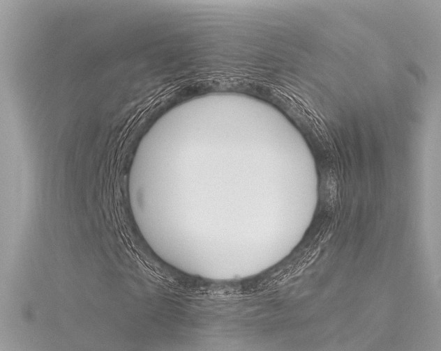 X0000116030865200911200958