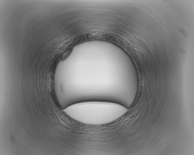 X0000116030868200911200958