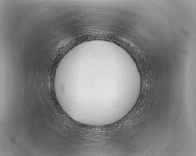 X0000116030869200911200958