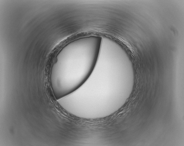 X0000116030872200911200958