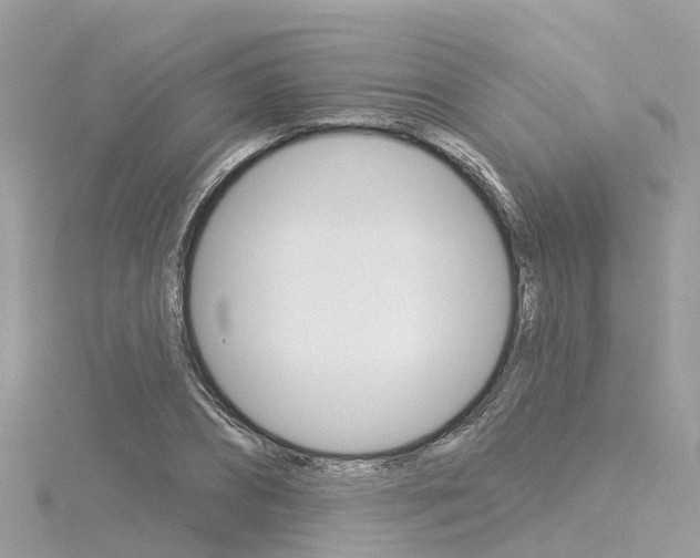 X0000116030882200911200957