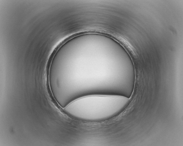 X0000116030888200911200957