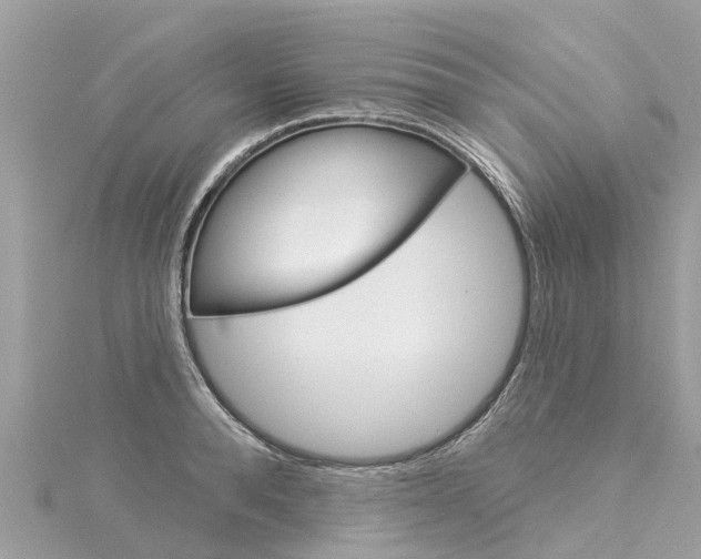 X0000116030896200911200957