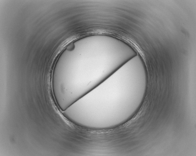X0000116030898200911200957