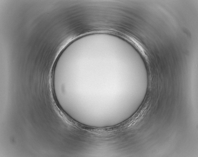 X0000116030907200911200957