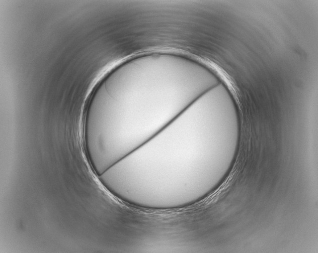 X0000116030910200911200957