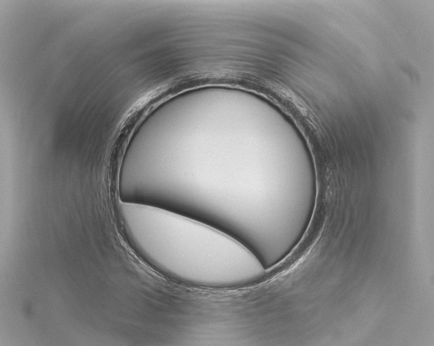 X0000116030922200911200957