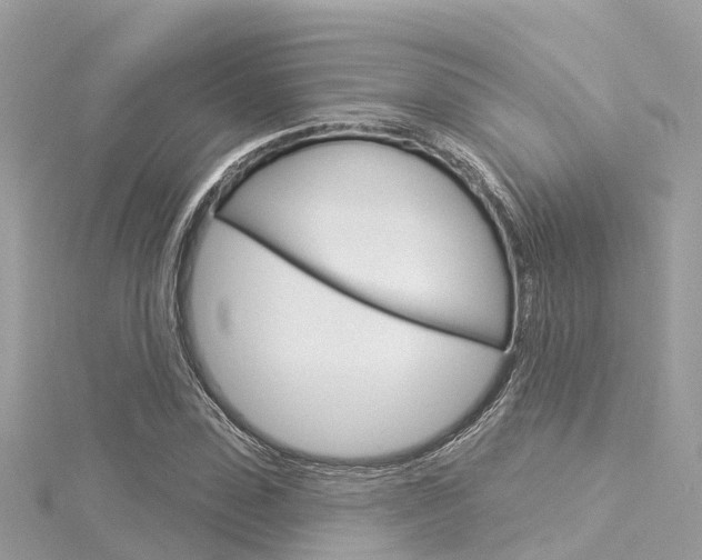 X0000116030923200911200957