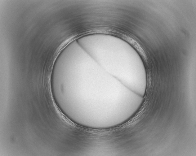 X0000116030954200911200957