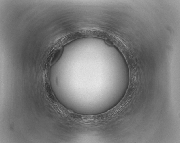 X0000116030965200911200956