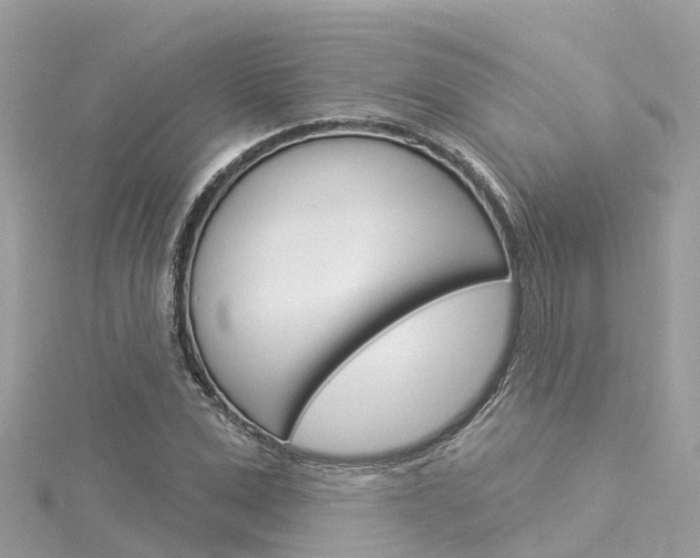 X0000116030975200911200956