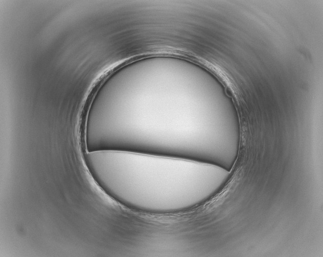 X0000116030995200911200956