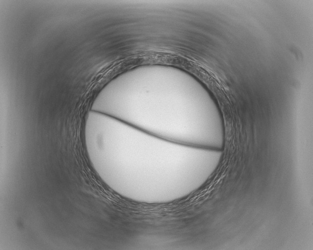 X0000116031013200911200955