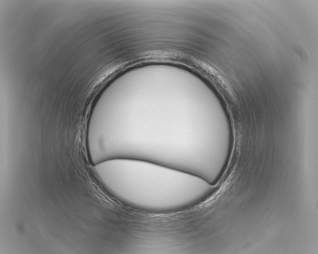 X0000116031017200911200955