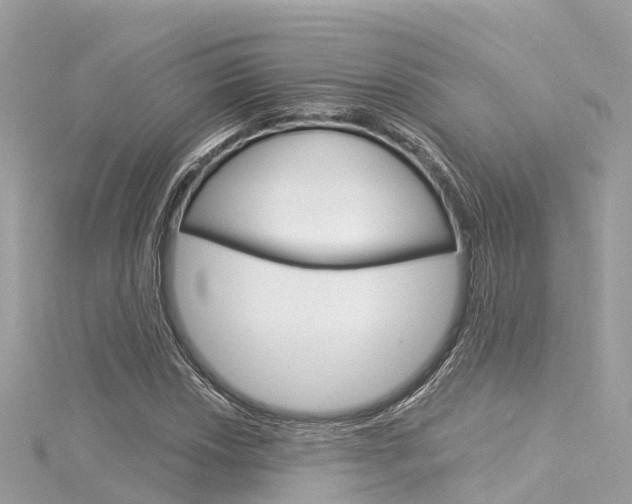X0000116031018200911200955