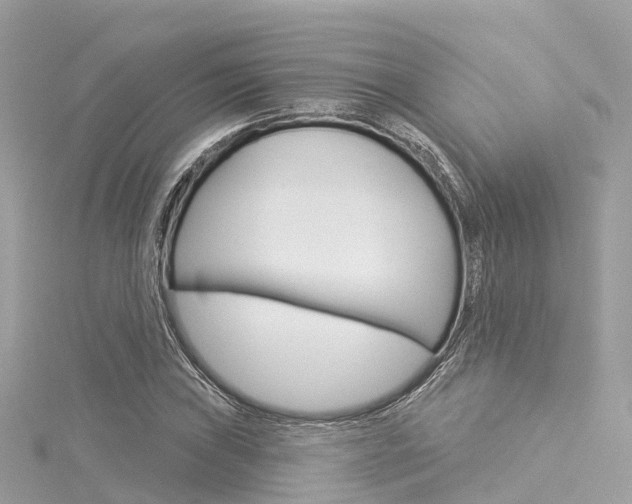 X0000116031019200911200955