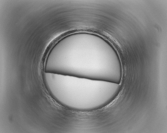 X0000116031021200911200955