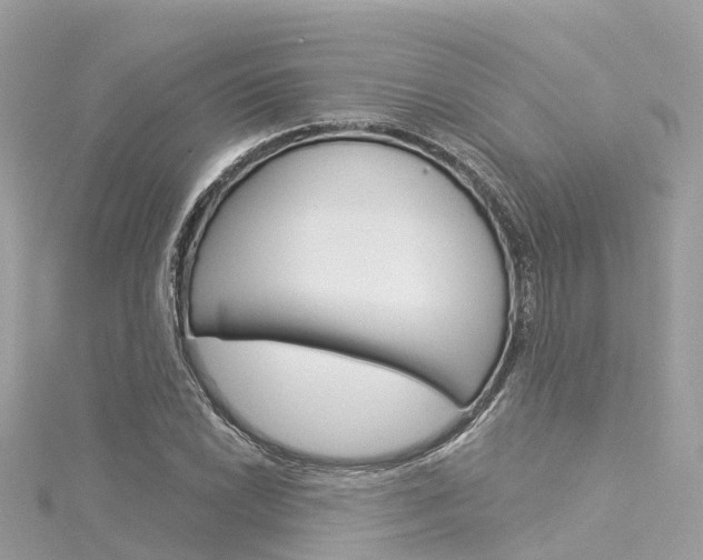 X0000116031022200911200955