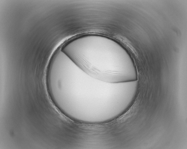 X0000116031024200911200955