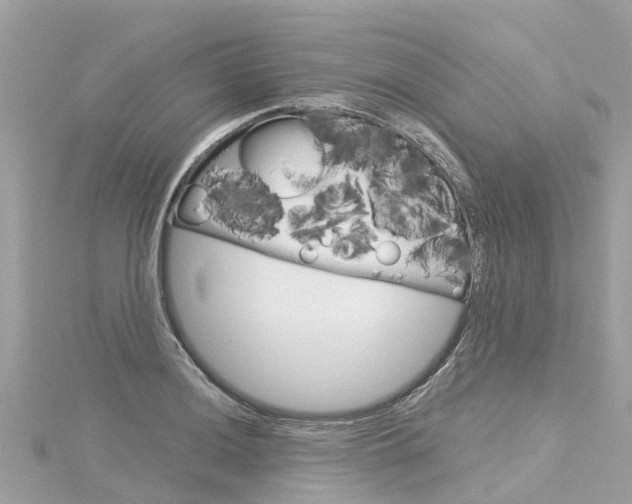 X0000116031036200911200956