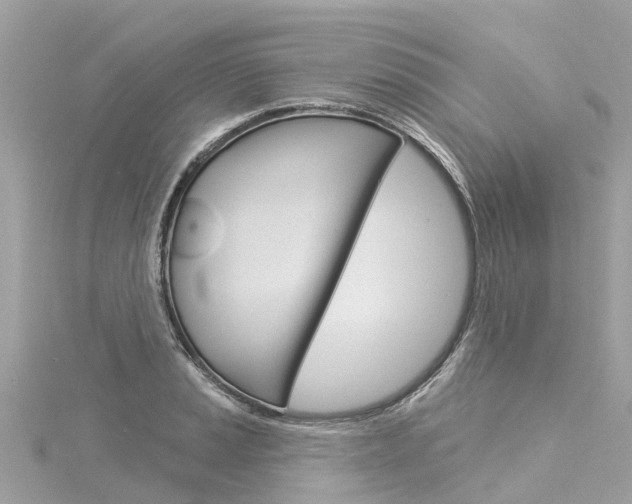 X0000116031037200911200956